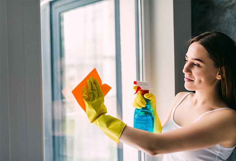 Window Cleaning Service